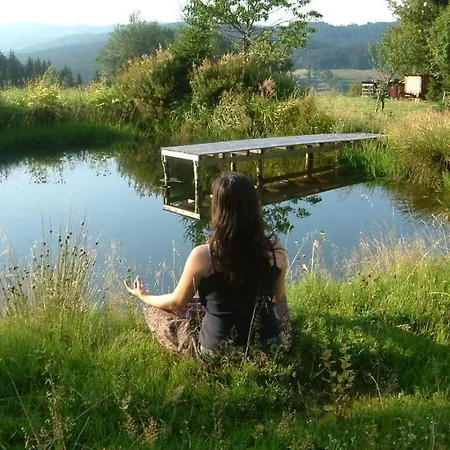 בית נופש Mitterdorf Modern Retreat מיטרפרמיינסרויט