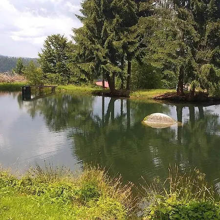 Mitterdorf Modern Retreat בית נופש מיטרפרמיינסרויט